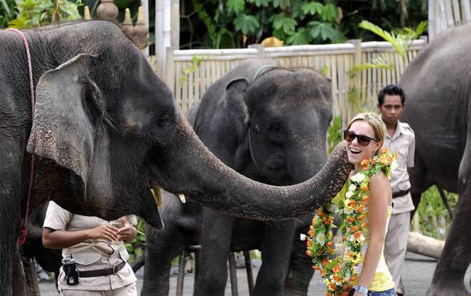 bali-elephant-back-safari-01