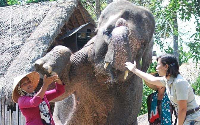 bali-elephant-back-safari-02